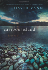 Caribou island
